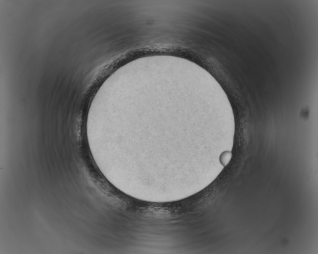 X0000115680640200912241441