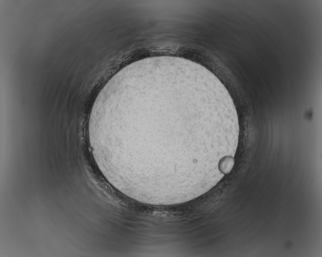 X0000115680641200912241441
