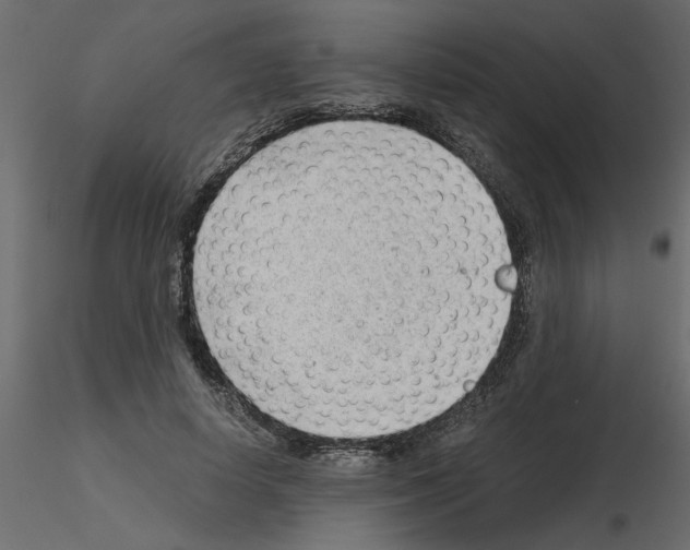 X0000115680642200912241441