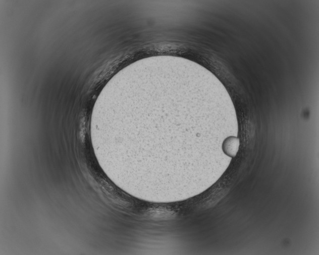 X0000115680644200912241441