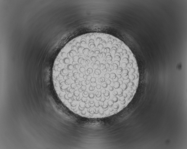 X0000115680646200912241441