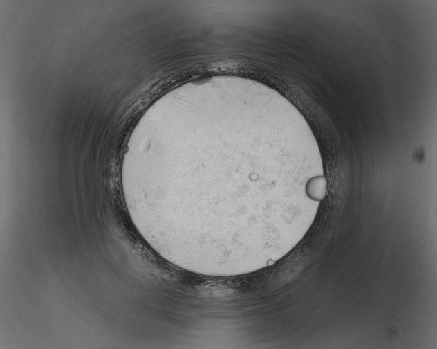 X0000115680648200912241441