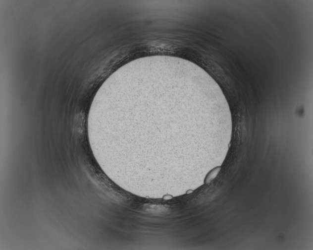 X0000115680649200912241441