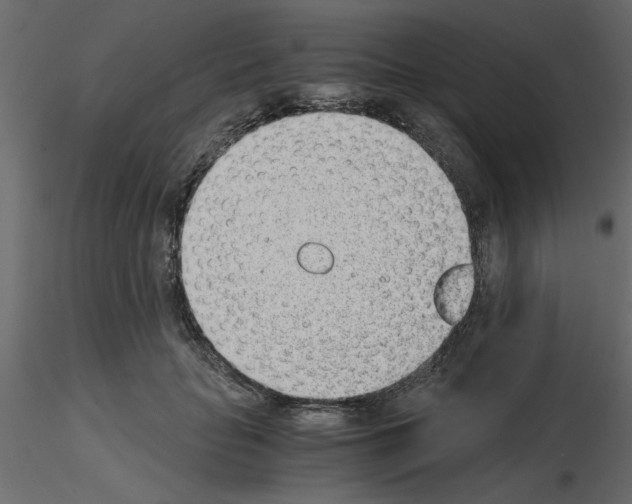 X0000115680653200912241441