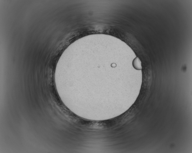 X0000115680656200912241441