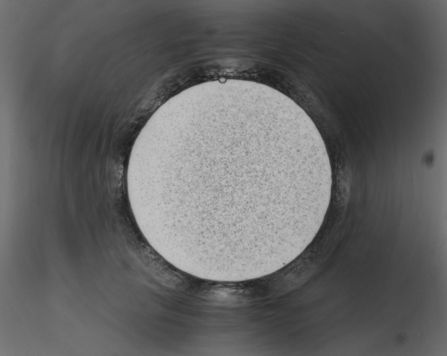X0000115680657200912241441