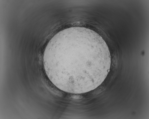 X0000115680659200912241442