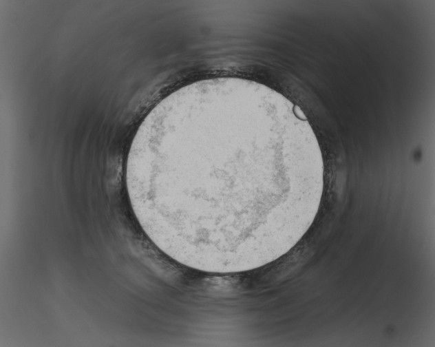 X0000115680660200912241442