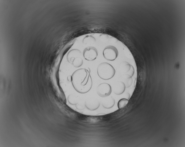 X0000115680662200912241442
