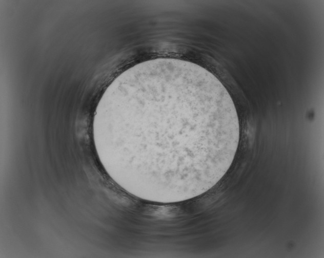 X0000115680663200912241442