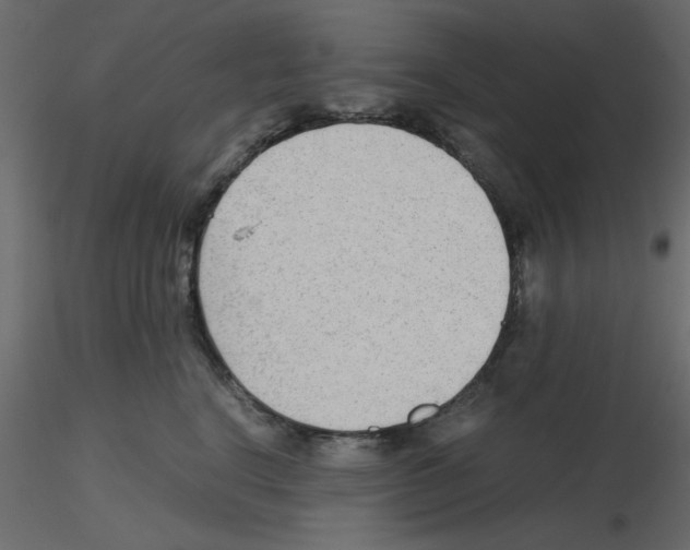 X0000115680664200912241442