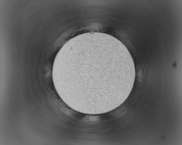 X0000115680665200912241442