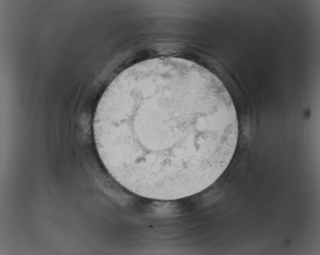 X0000115680667200912241442