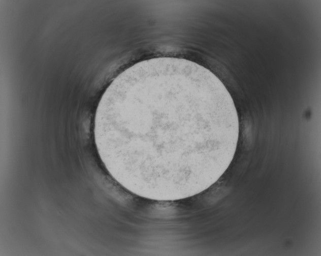 X0000115680668200912241442
