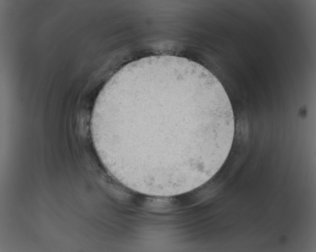 X0000115680671200912241442