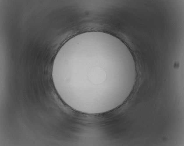X0000115680672200912241442