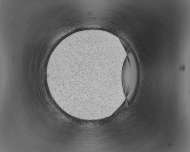 X0000115680673200912241441