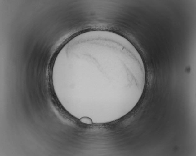 X0000115680674200912241441