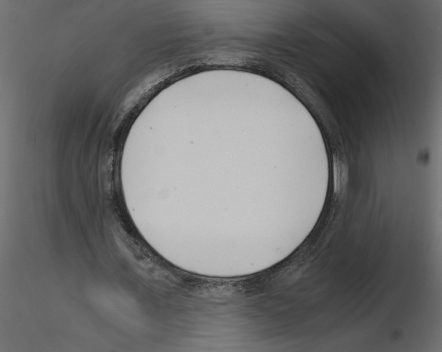 X0000115680675200912241441