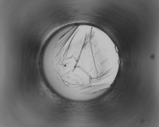X0000115680676200912241441