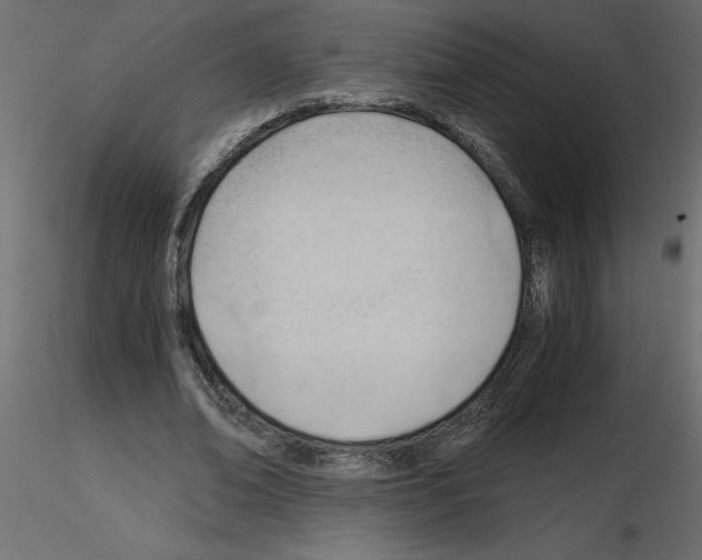 X0000115680678200912241441