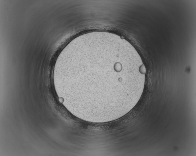 X0000115680679200912241441