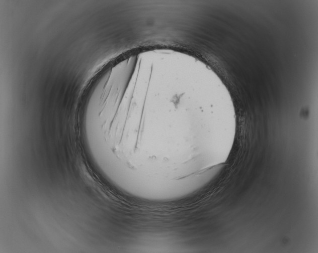 X0000115680680200912241441