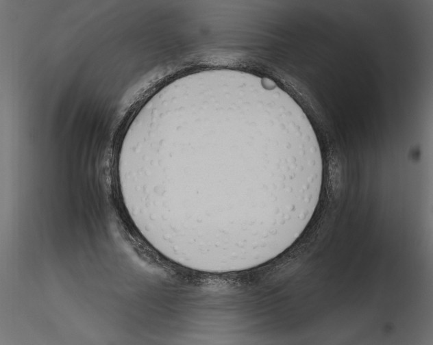 X0000115680682200912241441