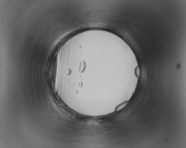 X0000115680684200912241441