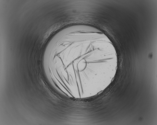 X0000115680685200912241441