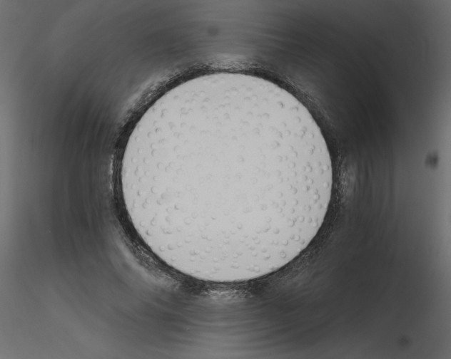 X0000115680686200912241441