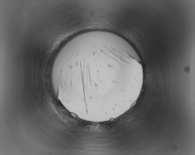 X0000115680688200912241441