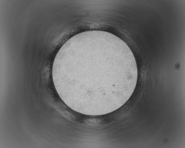 X0000115680691200912241441