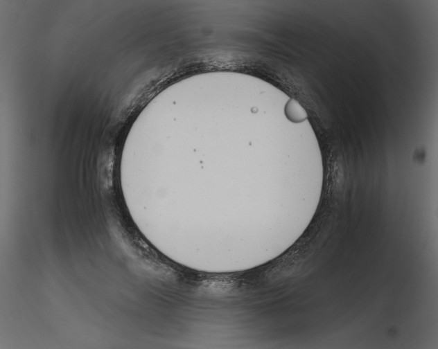 X0000115680694200912241441
