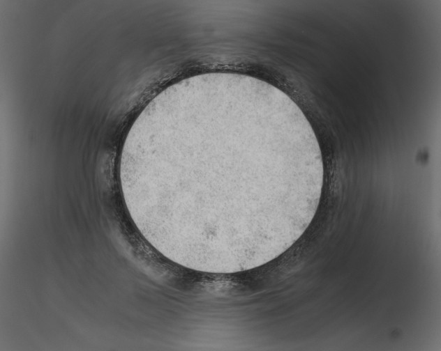 X0000115680695200912241441