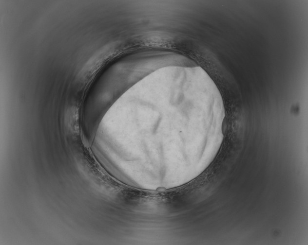 X0000115680696200912241441