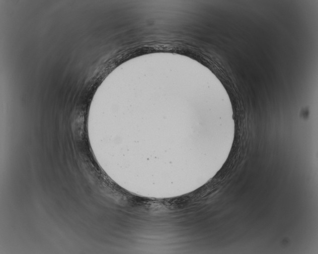 X0000115680697200912241441