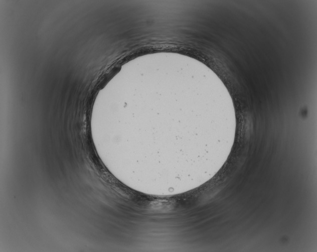 X0000115680700200912241441