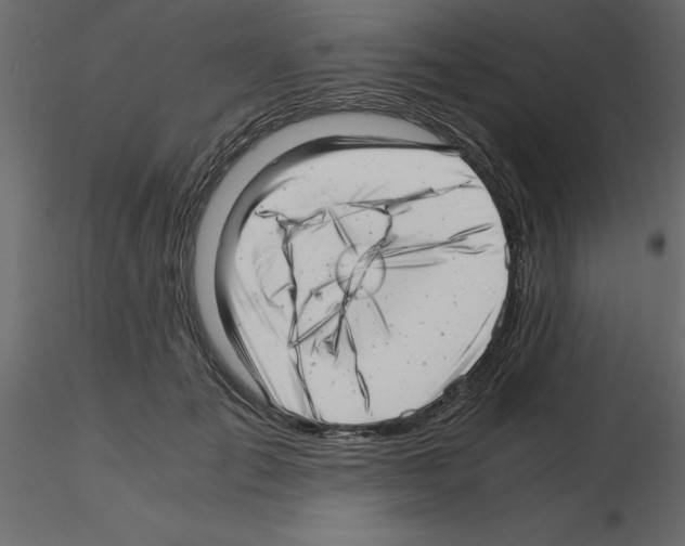 X0000115680701200912241441