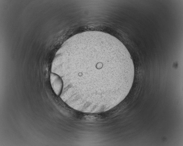 X0000115680703200912241441