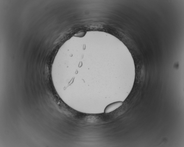 X0000115680704200912241441