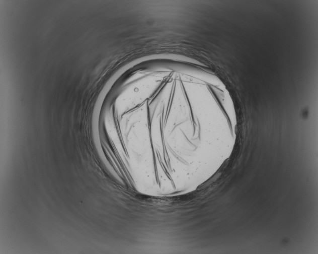 X0000115680709200912241441