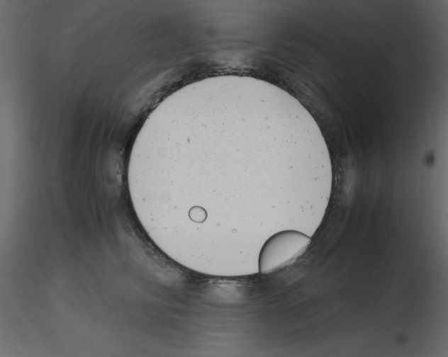 X0000115680710200912241441