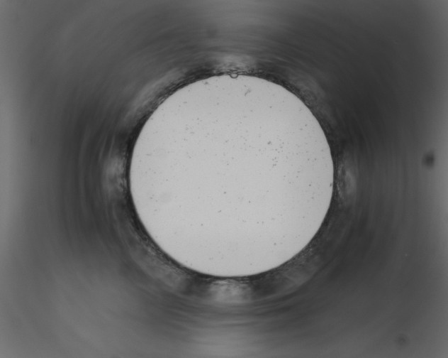 X0000115680714200912241440