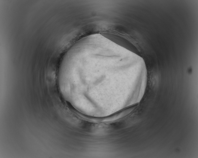 X0000115680716200912241440