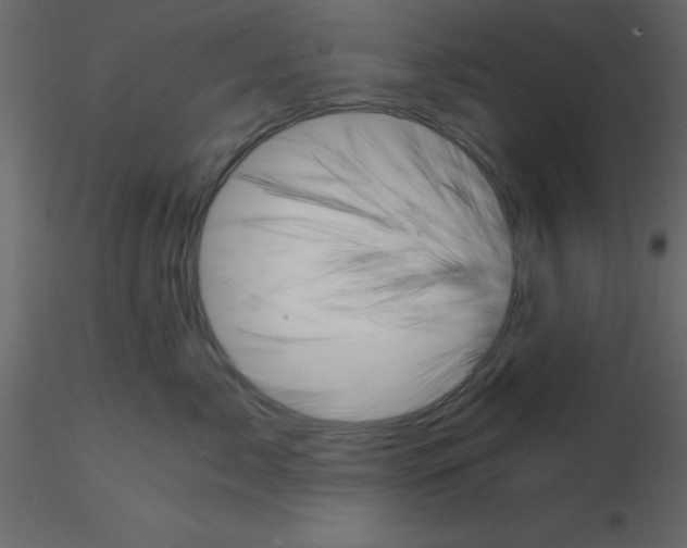 X0000115680717200912241440