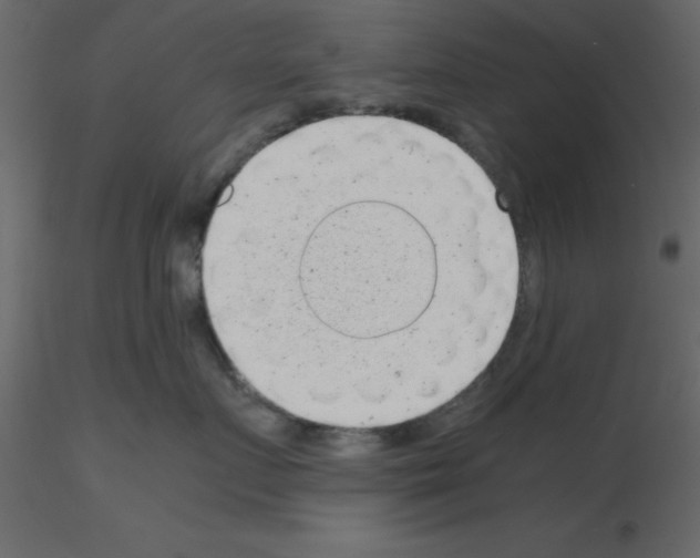 X0000115680719200912241440