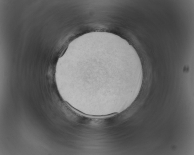 X0000115680720200912241440