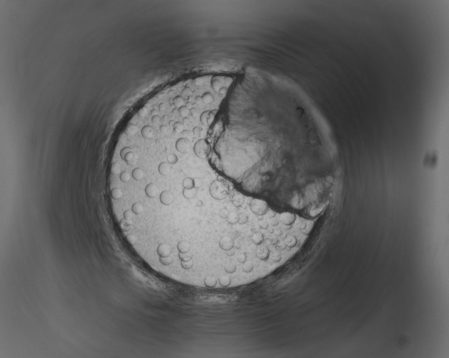 X0000115680721200912241440