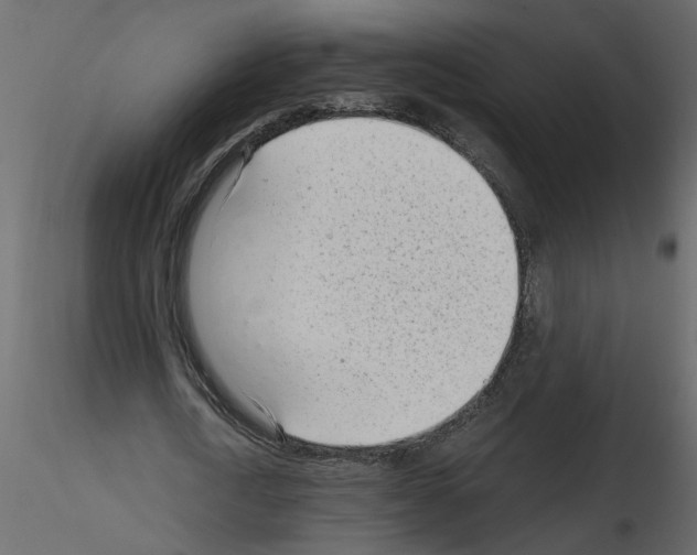 X0000115680722200912241440